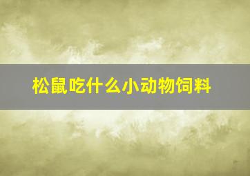 松鼠吃什么小动物饲料