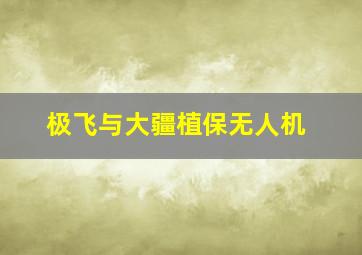 极飞与大疆植保无人机