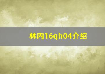 林内16qh04介绍