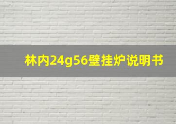 林内24g56壁挂炉说明书