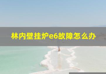 林内壁挂炉e6故障怎么办