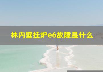 林内壁挂炉e6故障是什么