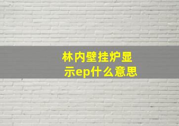 林内壁挂炉显示ep什么意思