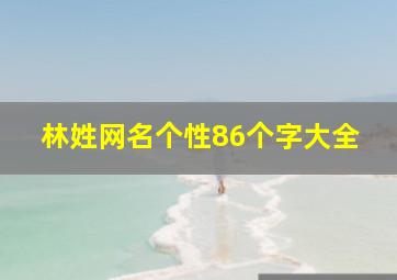 林姓网名个性86个字大全