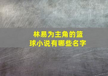 林易为主角的篮球小说有哪些名字