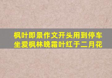 枫叶即景作文开头用到停车坐爱枫林晚霜叶红于二月花