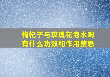 枸杞子与玫瑰花泡水喝有什么功效和作用禁忌