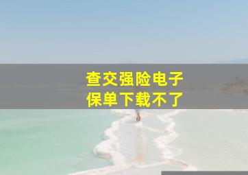 查交强险电子保单下载不了