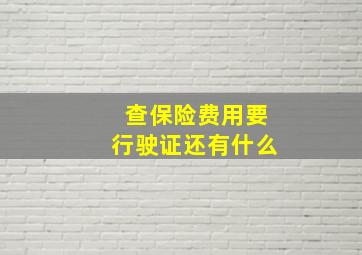 查保险费用要行驶证还有什么