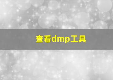 查看dmp工具