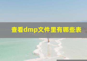 查看dmp文件里有哪些表