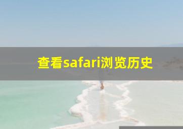 查看safari浏览历史