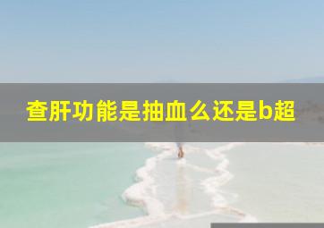 查肝功能是抽血么还是b超