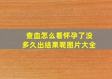 查血怎么看怀孕了没多久出结果呢图片大全