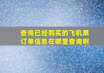 查询已经购买的飞机票订单信息在哪里查询啊