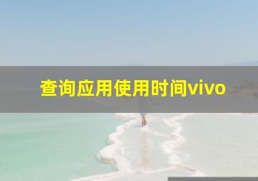 查询应用使用时间vivo