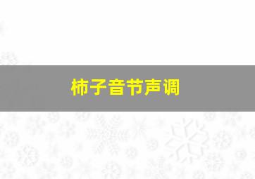 柿子音节声调