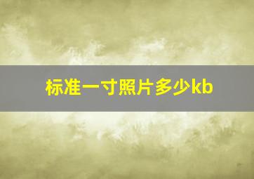 标准一寸照片多少kb