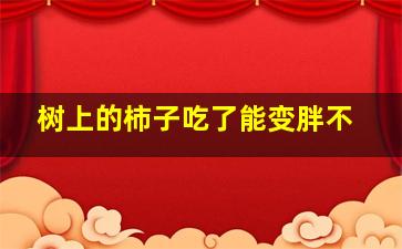 树上的柿子吃了能变胖不