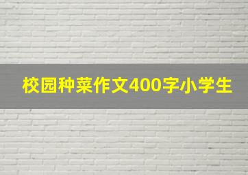 校园种菜作文400字小学生