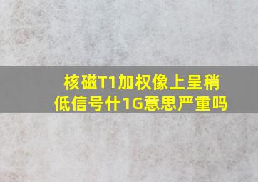 核磁T1加权像上呈稍低信号什1G意思严重吗