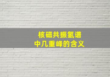 核磁共振氢谱中几重峰的含义