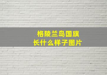 格陵兰岛国旗长什么样子图片