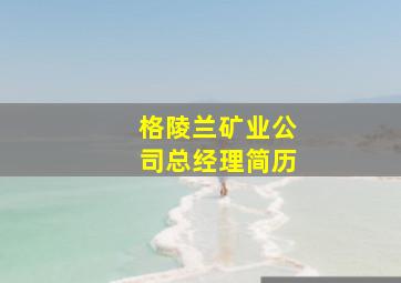 格陵兰矿业公司总经理简历