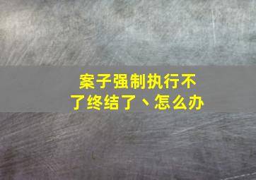 案子强制执行不了终结了丶怎么办