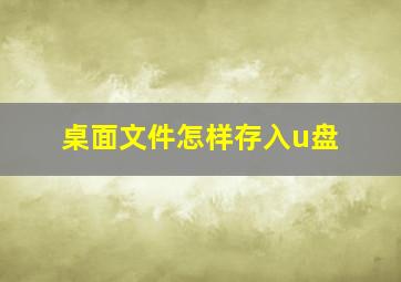 桌面文件怎样存入u盘