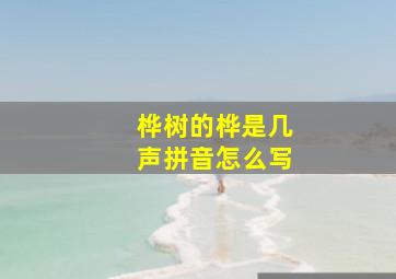 桦树的桦是几声拼音怎么写