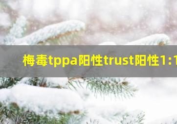 梅毒tppa阳性trust阳性1:1