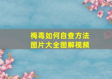 梅毒如何自查方法图片大全图解视频