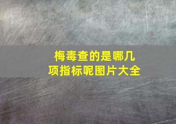 梅毒查的是哪几项指标呢图片大全