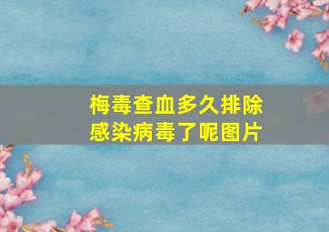 梅毒查血多久排除感染病毒了呢图片