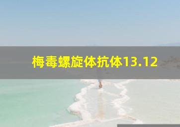 梅毒螺旋体抗体13.12