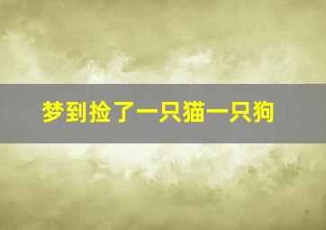 梦到捡了一只猫一只狗