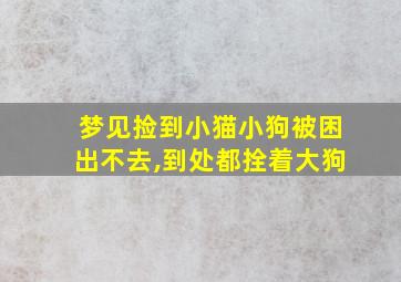 梦见捡到小猫小狗被困出不去,到处都拴着大狗