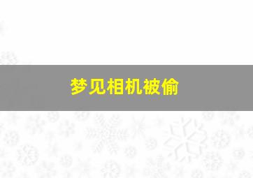 梦见相机被偷