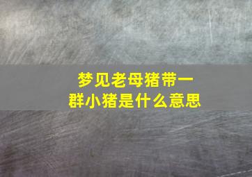 梦见老母猪带一群小猪是什么意思