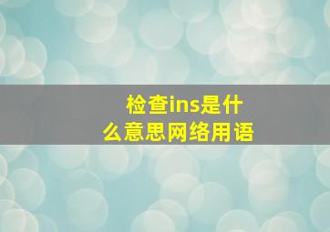 检查ins是什么意思网络用语