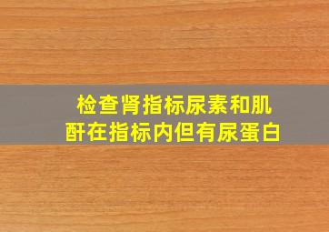 检查肾指标尿素和肌酐在指标内但有尿蛋白