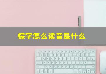 棕字怎么读音是什么