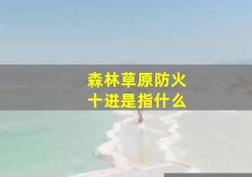 森林草原防火十进是指什么