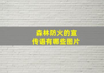 森林防火的宣传语有哪些图片