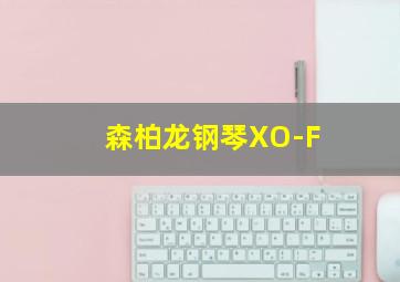 森柏龙钢琴XO-F