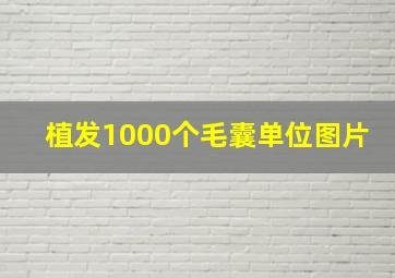 植发1000个毛囊单位图片