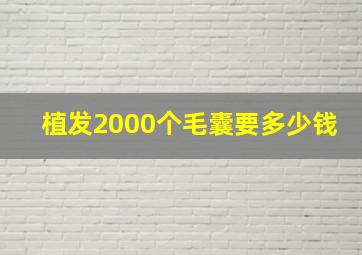 植发2000个毛囊要多少钱