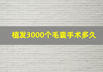 植发3000个毛囊手术多久