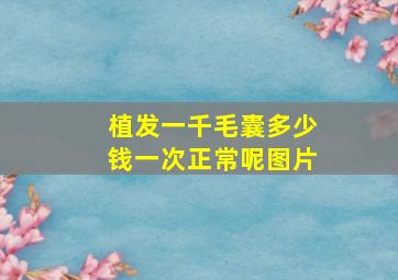 植发一千毛囊多少钱一次正常呢图片